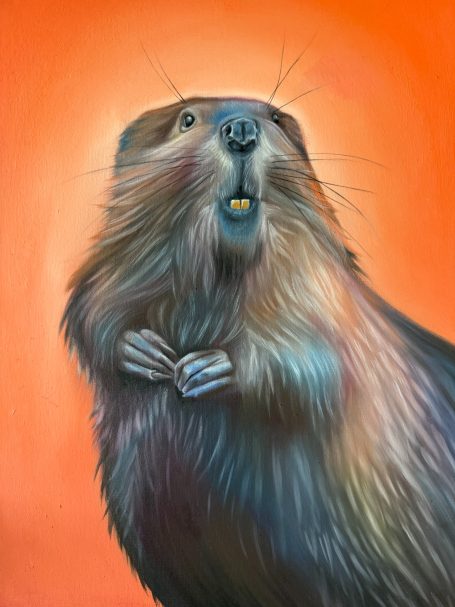 Mr Beaver
