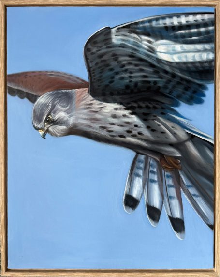 Kestrel