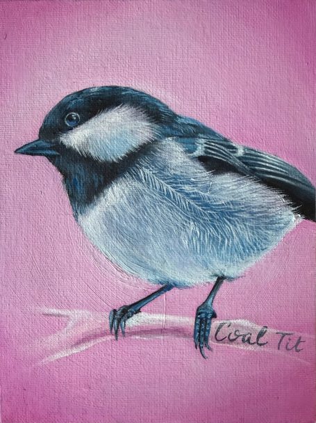Coal Tit