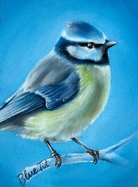 Blue Tit