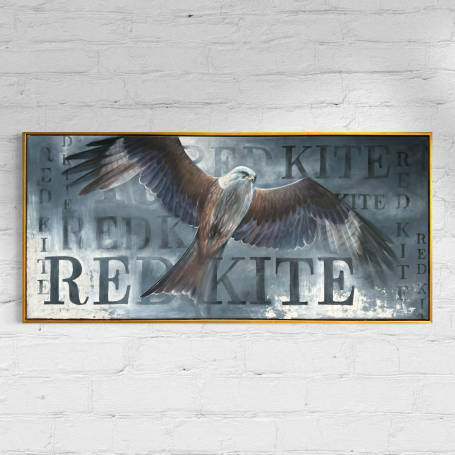Red Kite